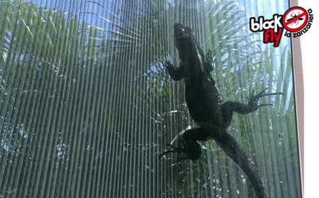 rete zanzariere plissettate