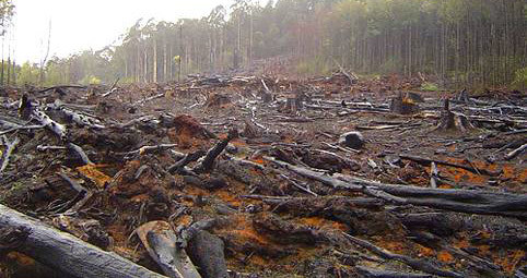 stop ai preventivi di zanzariere plissettate